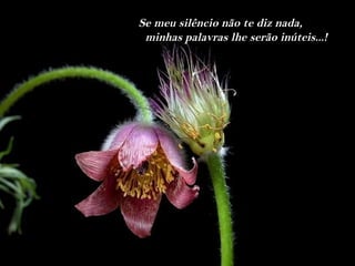 Se meu silêncio não te diz nada,
 minhas palavras lhe serão inúteis...!
 