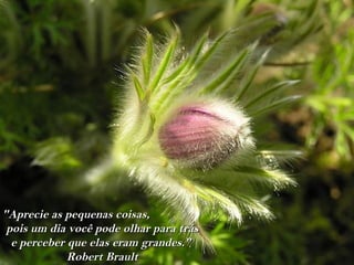 "Aprecie as pequenas coisas,
 pois um dia você pode olhar para trás
  e perceber que elas eram grandes."
             Robert Brault
 