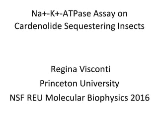 Na+-K+-ATPase Assay on
Cardenolide Sequestering Insects
Regina Visconti
Princeton University
NSF REU Molecular Biophysics 2016
 