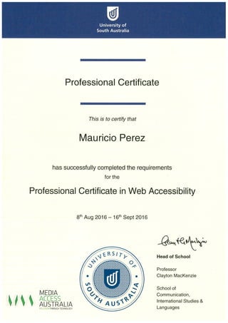 Professional Certificate Web Accessibility