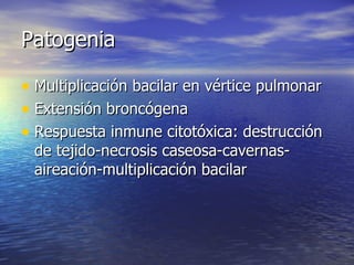 Patogenia Multiplicación bacilar en vértice pulmonar Extensión broncógena Respuesta inmune citotóxica: destrucción de tejido-necrosis caseosa-cavernas-aireación-multiplicación bacilar 