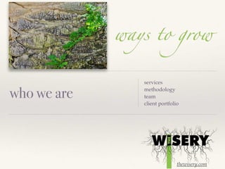 thewisery.com
who we are
services
methodology
team
client portfolio
 