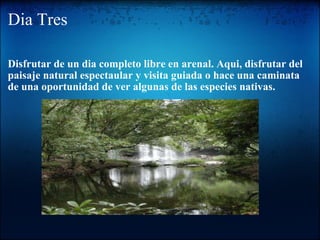 Dia Tres Disfrutar de un dia completo libre en arenal. Aqui, disfrutar del paisaje natural espectaular y visita guiada o hace una caminata de una oportunidad de ver algunas de las especies nativas. 