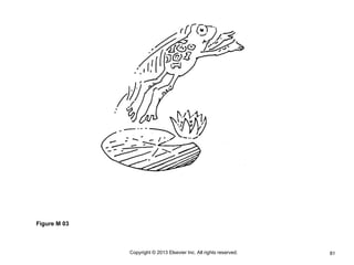 81
Copyright © 2013 Elsevier Inc. All rights reserved.
Figure M 03
 