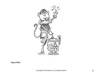 82
Copyright © 2013 Elsevier Inc. All rights reserved.
Figure M 04
 