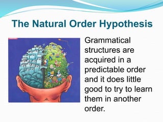 The Natural Order Hypothesis
Grammatical
structures are
acquired in a
predictable order
and it does little
good to try to learn
them in another
order.
 