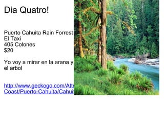 Dia Quatro! Puerto Cahuita Rain Forrest El Taxi 405 Colones $20    Yo voy a mirar en la arana y el arbol     http://www.geckogo.com/Attraction/Costa-Rica/Carribean-Coast/Puerto-Cahuita/Cahuita-National-Park/ 