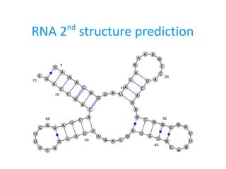 RNA 2nd
structure prediction
 