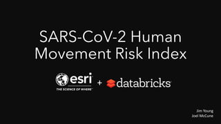 SARS-CoV-2 Human
Movement Risk Index
Jim Young
Joel McCune
+
 