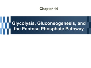 Chapter 14
Glycolysis, Gluconeogenesis, and
the Pentose Phosphate Pathway
 