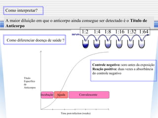 Como interpretar?
A maior diluição em que o anticorpo ainda consegue ser detectado é o Título de
Anticorpo
Como diferenciar doença de saúde ?
Incubação Aguda Convalescente
Time post-infection (weeks)
Título
Específico
de
Anticorpos
Controle negativo: soro antes da exposição
Reação positiva: duas vezes a absorbância
do controle negativo
1:2 1:4 1:8 1:16 1:32 1:64
 