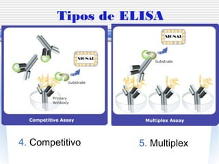 Tipos de ELISA
5. Multiplex4. Competitivo
 
