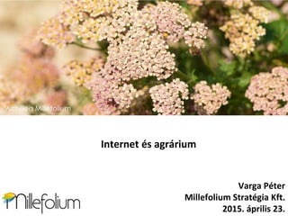 Internet és agrárium
Varga Péter
Millefolium Stratégia Kft.
2015. április 23.
 