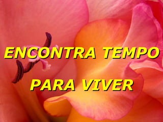 ENCONTRA TEMPO PARA VIVER 