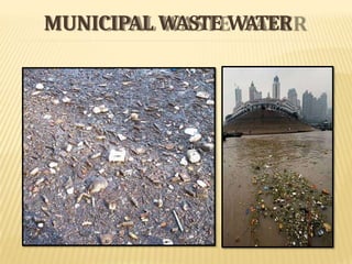 MUNICIPAL WASTE WATER
 
