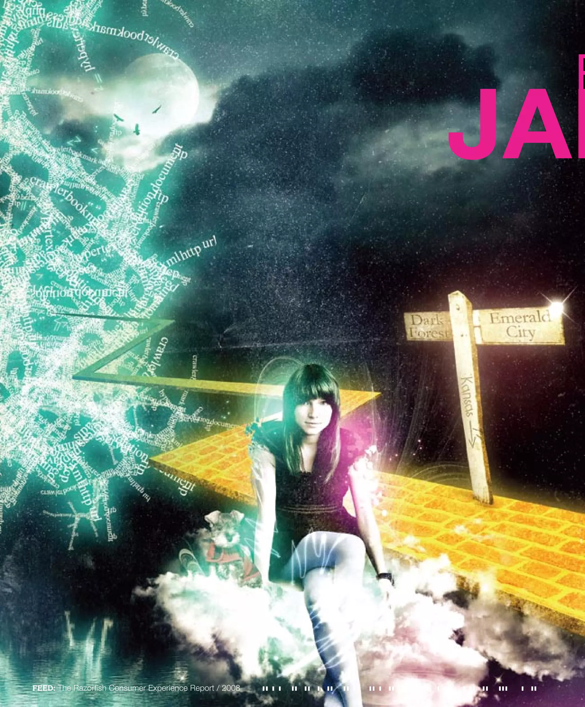 Feed- The Razorfish Consumer Experience Report