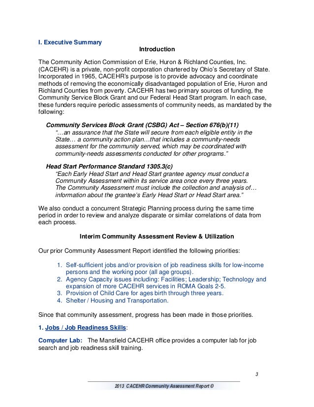 Community Report Template , Community Needs Assessment Report – AYTLY