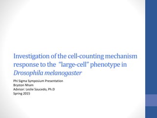 Investigationof the cell-countingmechanism
responseto the “large-cell”phenotypein
Drosophilamelanogaster
Phi Sigma Symposium Presentation
Bryston Nham
Advisor: Leslie Saucedo, Ph.D
Spring 2015
 