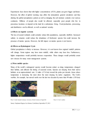 18 | P a g e
Experiments have shown that with higher concentrations of CO2,plants can grow bigger and faster.
However, the effect of global warming may affect the atmospheric general circulation and thus
altering the global precipitation pattern as well as changing the soil moisture contents over various
continents. Millions of people also would be affected, especially poor people who live in
precarious locations or depend on the land for a subsistence living. Food production, processing,
and distribution can be affected, as well as national security.
c) Effects on Aquatic systems
The loss of coastal wetlands could certainly reduce fish populations, especially shellfish. Increased
salinity in estuaries could reduce the abundance of freshwater species but could increase the
presence of marine species. However, the full impact on marine species is not known.
d) Effects on Hydrological Cycle
Global precipitation is likely to increase. However, it is not known how regional rainfall patterns
will change. Some regions may have more rainfall, while others may have less. Furthermore,
higher temperatures would probably increase evaporation. These changes would probably create
new stresses for many water management systems.
e) More mobile species
Many of the world’s endangered species would become extinct as rising temperatures changed
their habitat, and affected the timing of seasonal events. Species are straying from their native
habitats at an unprecedented rate: 11 miles (17.6 km) toward the poles per decade. Areas where
temperature is increasing the most show the most straying by native organisms. The Cetti's
warbler, for example, has moved north over the last two decades by more than 90 miles (150 km).
Plate 3: Credit: Kenneth Lohmann, University of North Carolina at Chapel Hill Plate 4: A Cetti’s warbler
Source: Stephanie Pappas, Live Science Contributor, September 07, 2012
 