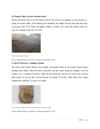 20 | P a g e
h) Changed high seasonat national parks
When's the busiest time to see the Grand Canyon? The answer has changed over the decades as
spring has started earlier. Peak national park attendance has shifted forward more than four days,
on average, since 1979. Today, the highest number of visitors now swarm the Grand Canyon on
June 24, compared with July 4 in 1979.
Plate 8: Credit: Andrea El-Wailly
Source: Stephanie Pappas, Live Science Contributor, September 07, 2012
i) Altered Thoreau's stomping grounds
The writer Henry David Thoreau once lovingly documented nature in and around Concord, Mass.
Reading those diaries today has shown researchers just how much spring has changed in the last
century or so. Compared to the late 1800s, the first flowering dates for 43 of the most common
plant species in the area have moved forward an average of 10 days. Other plants have simply
disappeared, including 15 species of orchids.
Plate 9: Credit: © Houghton Library, President and Fellows of Harvard College
Source: Stephanie Pappas, Live Science Contributor, September 07, 2012
 