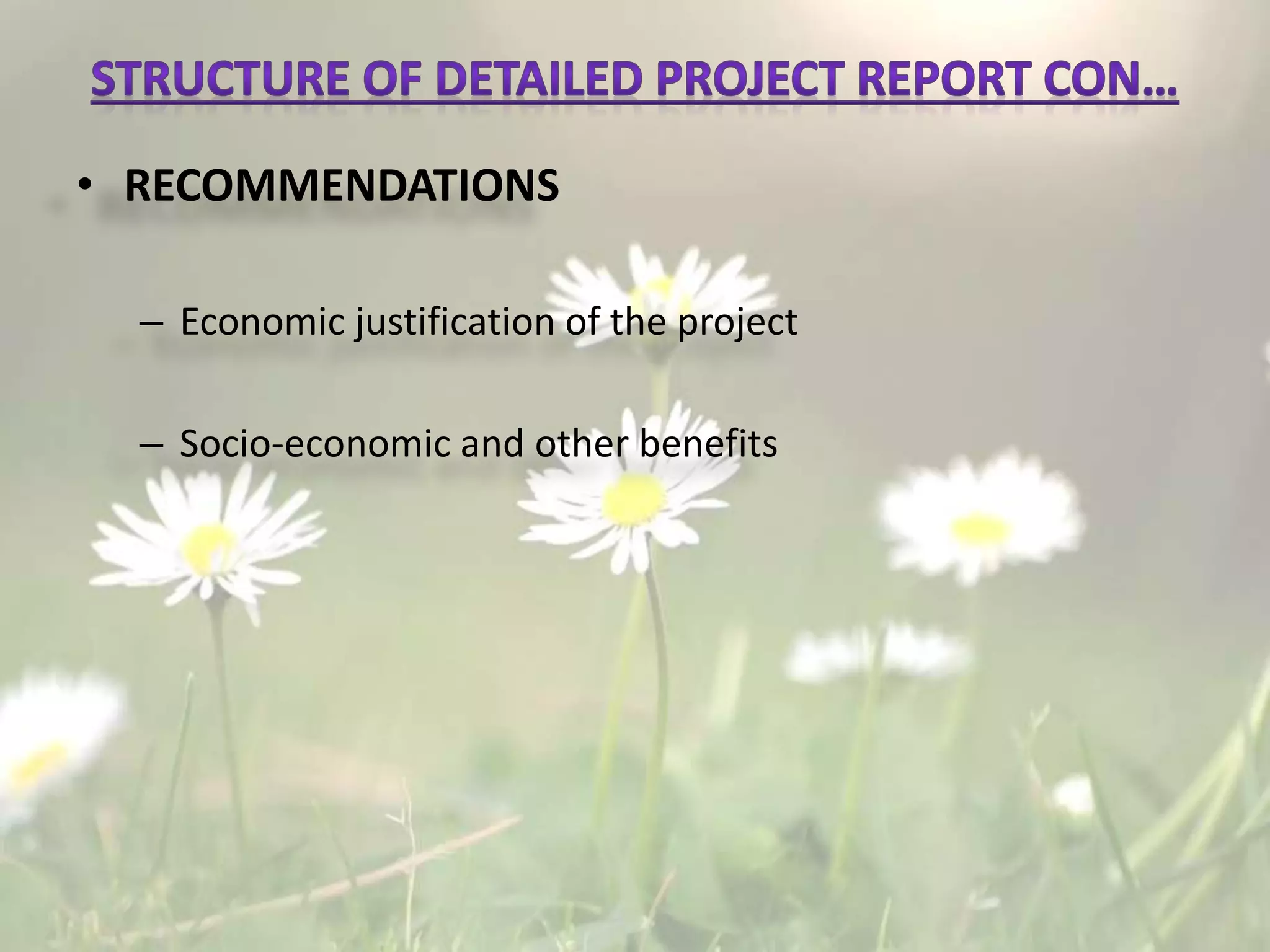 • RECOMMENDATIONS
– Economic justification of the project
– Socio-economic and other benefits
 