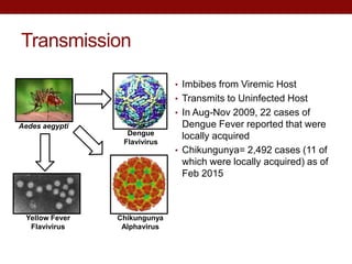 Transmission
• Imbibes from Viremic Host
• Transmits to Uninfected Host
• In Aug-Nov 2009, 22 cases of
Dengue Fever reported that were
locally acquired
• Chikungunya= 2,492 cases (11 of
which were locally acquired) as of
Feb 2015
Aedes aegypti
Dengue
Flavivirus
Yellow Fever
Flavivirus
Chikungunya
Alphavirus
 