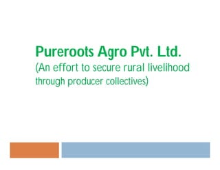 Pureroots Agro Pvt. Ltd.
(An effort to secure rural livelihood
through producer collectives)
 