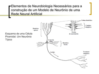Elementos de Neurobiologia Necessários para a
construção de um Modelo de Neurônio de uma
Rede Neural Artificial
Esquema de uma Célula
Piramidal. Um Neurônio
Típico
 