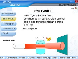 Efek Tyndall 
exit 
SIFAT SIFAT KOLOID 
Efek Tyndall adalah efek 
penghamburan cahaya oleh partikel 
koloid shg tampak lintasan berkas 
sinar tsb. 
home 
Gambar nyata 
Perbandingan ?? 
Brown Elektroforesis Adorbsi Koagulasi Koloid Pelindung Dialisis Koloid Liofob & Liofil 
 