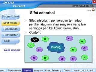 Sifat adsorbsi 
exit 
SIFAT SIFAT KOLOID 
• Sifat adsorbsi : penyerapan terhadap 
partikel atau ion atau senyawa yang lain 
sehingga partikel koloid bermuatan. 
• Contoh : 
Cl- 
Fe(OH)3 H+ 
H+ 
H+ 
H+ 
Fe3+ 
• (i) Koloid Cl- 
Fe(OH)3 bermuatan positif 
Cl- 
karena permukaannya menyerap ion H+. 
Cl- H+ 
Cl- 
Cl- 
H+ Close animasi 
home 
Brown Elektroforesis Adorbsi Koagulasi Koloid Pelindung Dialisis Koloid Liofob & Liofil 
 