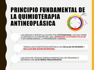 PRINCIPIO FUNDAMENTAL DE
LA QUIMIOTERAPIA
ANTINEOPLÁSICA
LAS DROGAS EJERCEN SU ACCIÓN POR CITOTOXICIDAD. ACTÚAN SOBRE
LA SÍNTESIS O LA FUNCIÓN DEL DNA, IMPIDIENDO LA DIVISIÓN CELULAR
Y, EN CONSECUENCIA, LA PROGRESIÓN TUMORAL.
TODOS LOS CITOSTÁTICOS AFECTAN A LAS CELULAS EN DIVISIÓN Y
NO A LAS QUE ESTÁN EN REPOSO.
LOS EFECTOS TÓXICOS SERÁN EVIDENTES EN LOS ÓRGANOS O
SISTEMAS CON ALTO ÍNDICE PROLIFERATIVO.
 