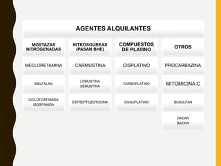 AGENTES ALQUILANTES
MOSTAZAS
NITROGENADAS
MECLORETAMINA
MELFALAN
CICLOFOSFAMIDA
ISOSFAMIDA
NITROSOUREAS
(PASAN BHE)
CARMUSTINA
LOMUSTINA
SEMUSTINA
ESTREPTOZOTOCINA
COMPUESTOS
DE PLATINO
CISPLATINO
CARBOPLATINO
OXALIPLATINO
OTROS
PROCARBAZINA
MITOMICINA C
BUSULFAN
DACAR
BAZINA
 