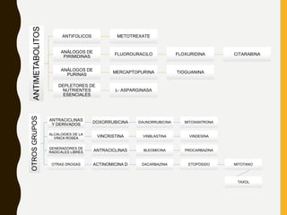 ANTIMETABOLITOS ANTIFOLICOS METOTREXATE
ANÁLOGOS DE
PIRIMIDINAS
FLUOROURACILO FLOXURIDINA CITARABINA
ANÁLOGOS DE
PURINAS
MERCAPTOPURINA TIOGUANINA
DEPLETORES DE
NUTRIENTES
ESENCIALES
L- ASPARGINASA
OTROSGRUPOS
ANTRACICLINAS
Y DERIVADOS
DOXORRUBICINA DAUNORRUBICINA MITOXANTRONA
ALCALOIDES DE LA
VINCA ROSEA VINCRISTINA VINBLASTINA VINDESINA
GENERADORES DE
RADICALES LIBRES ANTRACICLINAS BLEOMICINA PROCARBAZINA
OTRAS DROGAS ACTINOMICINA D DACARBAZINA ETOPÓSIDO MITOTANO
TAXOL
 