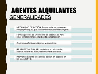 AGENTES ALQUILANTES
MECANISMO DE ACCIÓN: forman enlaces covalentes
con grupos alquilo que sustituyen un átomo de hidrógeno.
Forman puentes de unión entre las cadenas de ADN
(inter-intracatenarios), impidiendo su replicación
Originando efectos mutágenos y citotóxicos.
RESPUESTA CELULAR: se detiene el ciclo celular,
intentar reparar el ADN y el inicio de la apoptosis.
intervienen durante todo el ciclo celular, en especial en
las fases G1 y S.
GENERALIDADES
 