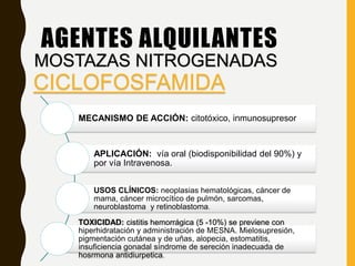 AGENTES ALQUILANTES
MOSTAZAS NITROGENADAS
CICLOFOSFAMIDA
MECANISMO DE ACCIÓN: citotóxico, inmunosupresor
APLICACIÓN: vía oral (biodisponibilidad del 90%) y
por vía Intravenosa.
USOS CLÍNICOS: neoplasias hematológicas, cáncer de
mama, cáncer microcítico de pulmón, sarcomas,
neuroblastoma y retinoblastoma.
TOXICIDAD: cistitis hemorrágica (5 -10%) se previene con
hiperhidratación y administración de MESNA. Mielosupresión,
pigmentación cutánea y de uñas, alopecia, estomatitis,
insuficiencia gonadal síndrome de sereción inadecuada de
hosrmona antidiurpetica.
 