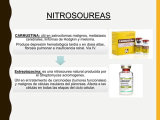 CARMUSTINA: útil en astrocitomas malignos, metástasis
cerebrales, linfomas de Hodgkin y mieloma.
Produce depresión hematológica tardía y en dosis altas,
fibrosis pulmonar e insuficiencia renal. Via IV.
Estreptozocina: es una nitrosourea natural producida por
el Streptomyces acromogenes.
Útil en el tratamiento de carcinoides (tumores funcionales)
y malignos de células insulares del páncreas. Afecta a las
células en todas las etapas del ciclo celular.
NITROSOUREAS
 