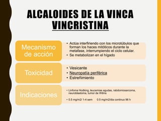 ALCALOIDES DE LA VINCA
VINCRISTINA
• Actúa interfiriendo con los microtúbulos que
forman los haces mitóticos durante la
metafase, interrumpiendo el ciclo celular.
• Se metabolizan en el hígado
Mecanismo
de acción
• Vesicante
• Neuropatía periférica
• Estreñimiento
Toxicidad
• Linfoma Hodking, leucemias agudas, rabdomiosarcoma,
neuroblastoma, tumor de Wilms
• 0.5 mg/m2/ 1-4 sem 0.5 mg/m2/dia continuo 96 h
Indicaciones
 