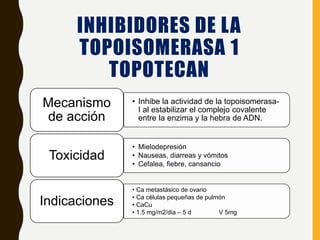 INHIBIDORES DE LA
TOPOISOMERASA 1
TOPOTECAN
• Inhibe la actividad de la topoisomerasa-
I al estabilizar el complejo covalente
entre la enzima y la hebra de ADN.
Mecanismo
de acción
• Mielodepresión
• Nauseas, diarreas y vómitos
• Cefalea, fiebre, cansancio
Toxicidad
• Ca metastásico de ovario
• Ca células pequeñas de pulmón
• CaCu
• 1.5 mg/m2/dia – 5 d V 5mg
Indicaciones
 
