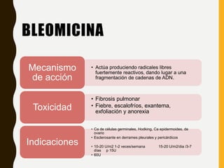 BLEOMICINA
• Actúa produciendo radicales libres
fuertemente reactivos, dando lugar a una
fragmentación de cadenas de ADN.
Mecanismo
de acción
• Fibrosis pulmonar
• Fiebre, escalofríos, exantema,
exfoliación y anorexia
Toxicidad
• Ca de células germinales, Hodking, Ca epidermoides, de
ovario
• Esclerosante en derrames pleurales y pericárdicos
• 10-20 U/m2 1-2 veces/semana 15-20 U/m2/dia /3-7
días p 15U
• 60U
Indicaciones
 