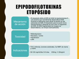 EPIPODOFILOTOXINAS
ETOPÓSIDO
• El etopósido daña el ADN al inhibir la topoisomerasa II,
una enzima que normalmente desenrolla el ADN
durante la replicación para aliviar la tensión en las
estrandas de ADN. El etopósido para la acción de la
topoisomerasa II después de que crea un fragmento
de ADN. El ADN fragmentado es incapaz de
desenrollarse y se rompe eventualmente.
Mecanismo
de acción
• Mielodepresion
• Nauseas y vomito
• Hipotension
• LMA
Toxicidad
• TCG, linfomas, tumores cerebrales, Ca NMP, de mama
y ovario
• 50-120 mg/m2/dia /3-5 días C50mg V 20mg/ml
Indicaciones
 