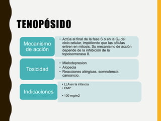 TENOPÓSIDO
• Actúa al final de la fase S o en la G2 del
ciclo celular, impidiendo que las células
entren en mitosis. Su mecanismo de acción
depende de la inhibición de la
topoisomerasa II.
Mecanismo
de acción
• Mielodepresion
• Alopecia
• Reacciones alérgicas, somnolencia,
cansancio.
Toxicidad
• LLA en la infancia
• CMP
• 100 mg/m2
Indicaciones
 