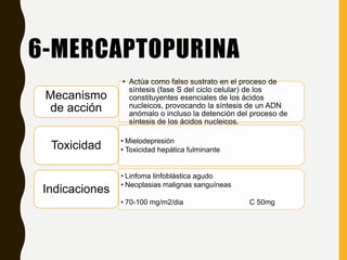 6-MERCAPTOPURINA
• Actúa como falso sustrato en el proceso de
síntesis (fase S del ciclo celular) de los
constituyentes esenciales de los ácidos
nucleicos, provocando la síntesis de un ADN
anómalo o incluso la detención del proceso de
síntesis de los ácidos nucleicos.
Mecanismo
de acción
• Mielodepresión
• Toxicidad hepática fulminanteToxicidad
• Linfoma linfoblástica agudo
• Neoplasias malignas sanguíneas
• 70-100 mg/m2/dia C 50mg
Indicaciones
 
