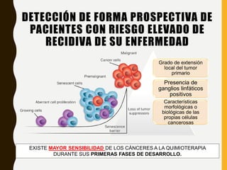DETECCIÓN DE FORMA PROSPECTIVA DE
PACIENTES CON RIESGO ELEVADO DE
RECIDIVA DE SU ENFERMEDAD
Grado de extensión
local del tumor
primario
Presencia de
ganglios linfáticos
positivos
Características
morfológicas o
biológicas de las
propias células
cancerosas
EXISTE MAYOR SENSIBILIDAD DE LOS CÁNCERES A LA QUIMIOTERAPIA
DURANTE SUS PRIMERAS FASES DE DESARROLLO.
 