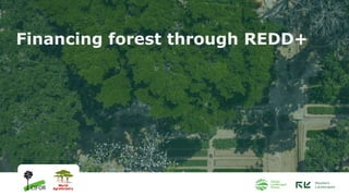 Financing forest through REDD+
 