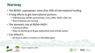 Norway
• The REDD+ superpower, more than 50% of international funding
• A long efforts to get international partners
• G20+Norway, REDD+ partnership, Lima, GNU, NYDF, LEAF, etc.
• New initiatives are coming
• The domestic role of REDD+/NICFI
• A political offset
• Ways to delinking oil & gas exploration and climate action
• Can afford it:
• Oil fund is USD 1.4 trillion or 250 000/capita
Source: Angelsen 2022
 