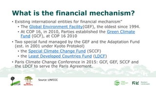 What is the financial mechanism?
• Existing international entities for financial mechanism”
• The Global Environment Facil...