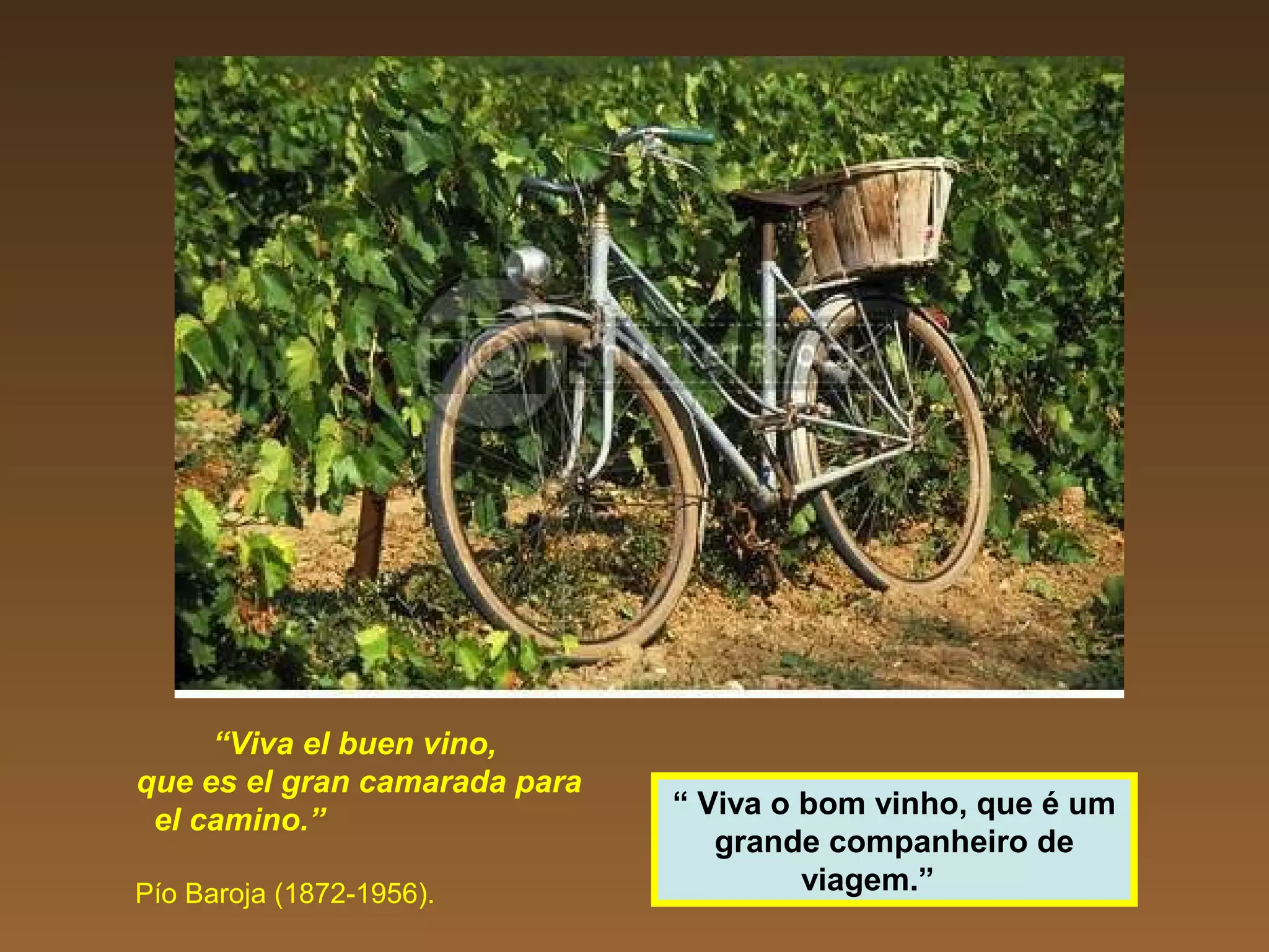 “Viva el buen vino,
que es el gran camarada para
el camino.”
Pío Baroja (1872-1956).
“ Viva o bom vinho, que é um
grande companheiro de
viagem.”
 