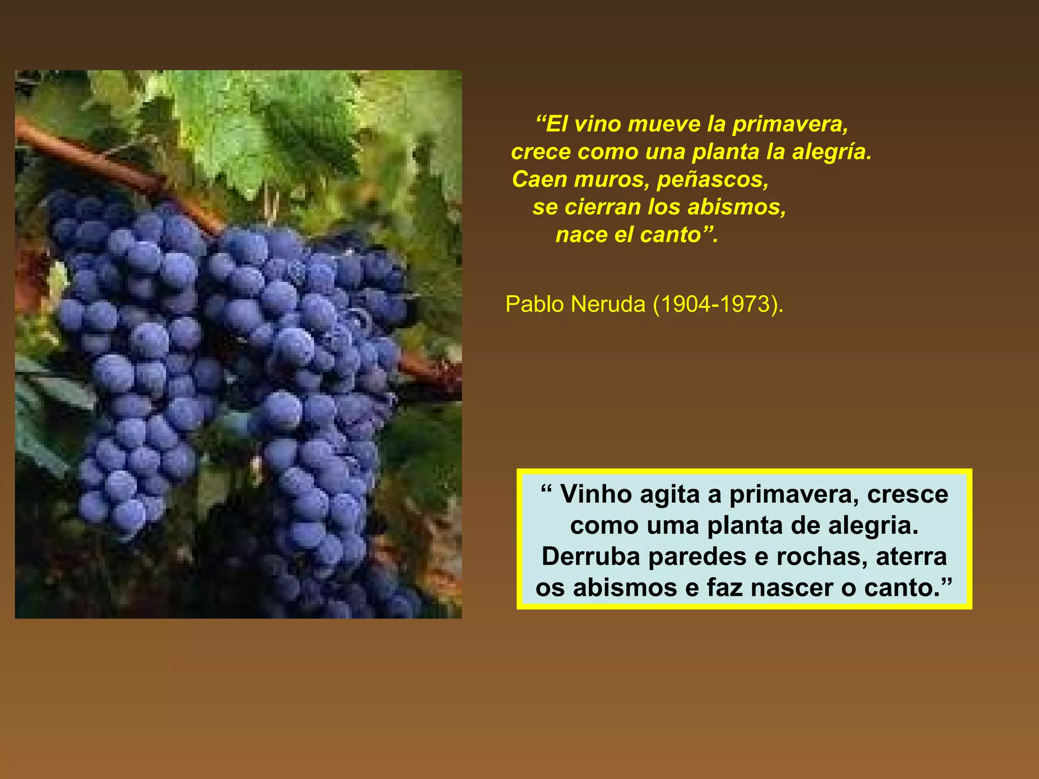 “El vino mueve la primavera,
crece como una planta la alegría.
Caen muros, peñascos,
se cierran los abismos,
nace el canto”.
Pablo Neruda (1904-1973).
“ Vinho agita a primavera, cresce
como uma planta de alegria.
Derruba paredes e rochas, aterra
os abismos e faz nascer o canto.”
 