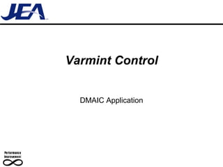 Varmint Control DMAIC Application 