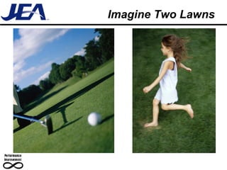 Imagine Two Lawns 